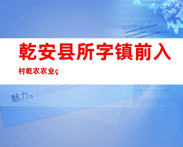 乾安县所字镇前入村乾农农业种植专业合作社